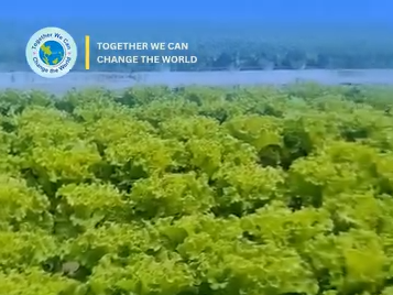 From Seedlings to Harvest